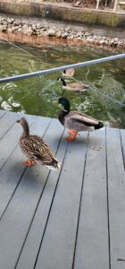 30d23b85-a1ad-4548-a2fd-d4e1bf0aa11b