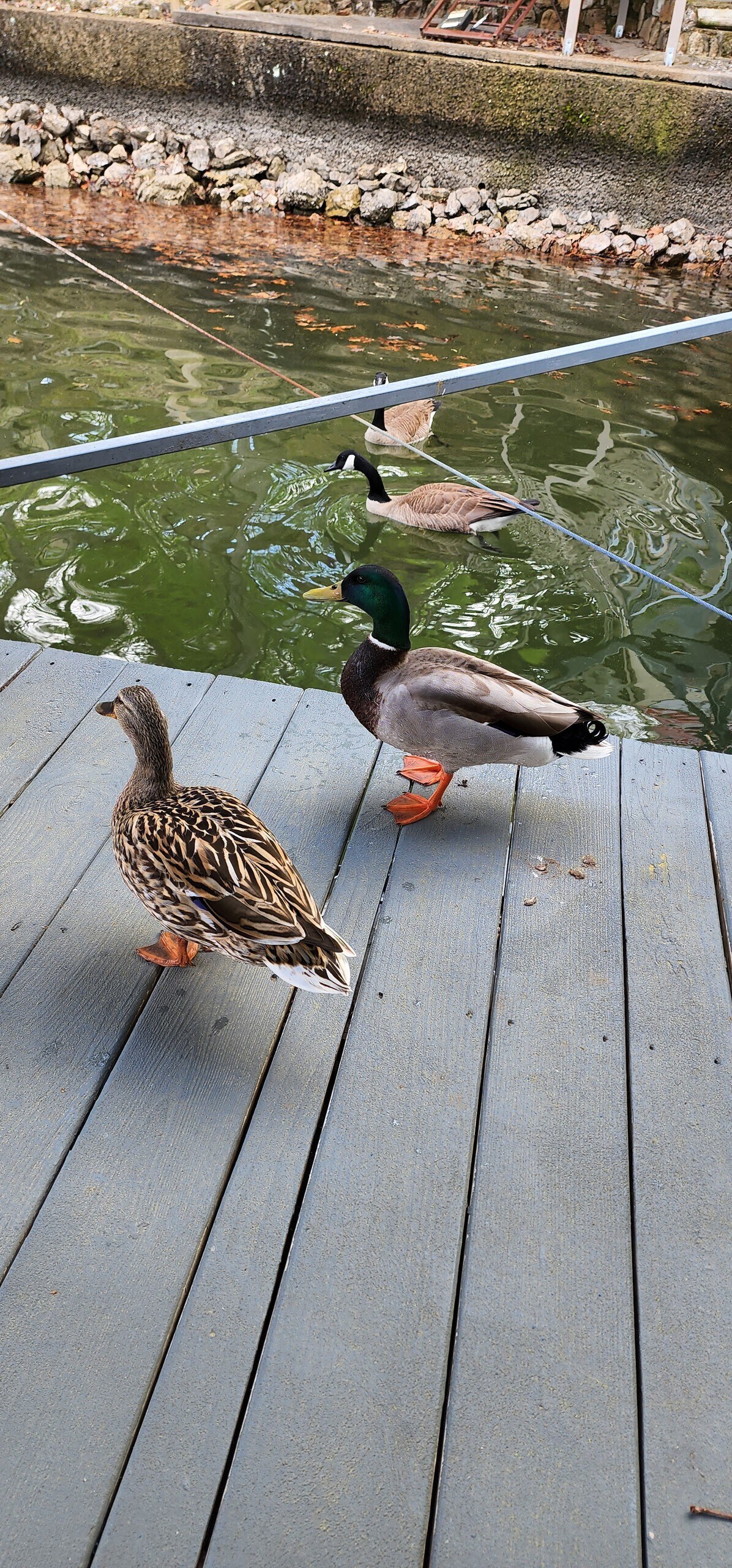 30d23b85-a1ad-4548-a2fd-d4e1bf0aa11b